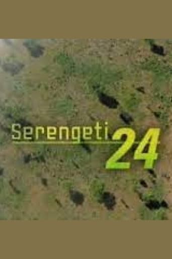 Poster of Serengeti 24