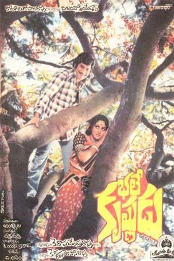 Bhale Krishnudu Poster of Bhale Krishnudu