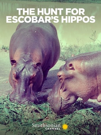 Poster of The Hunt for Escobar's Hippos