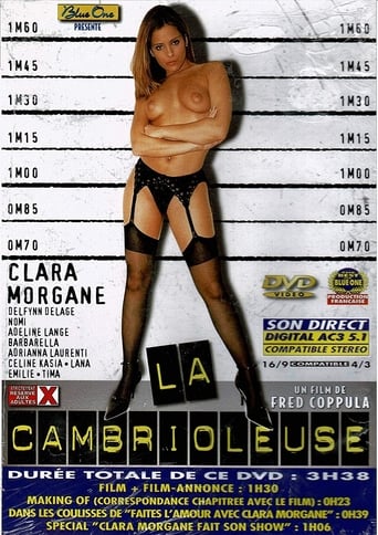 Poster of La Cambrioleuse