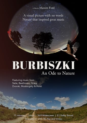 Poster of Burbiszki