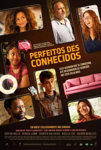 Poster of Perfeitos Desconhecidos