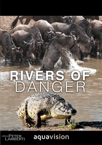 Poster of Rivers of Danger