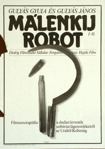 Poster of Málenkij robot