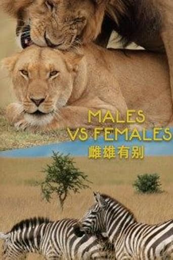 Poster of Males VS Females