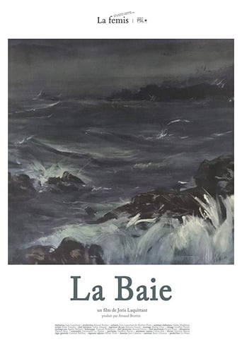 Poster of La Baie