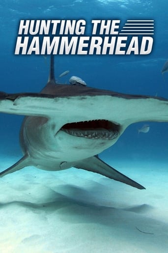 Poster of Hunting the Hammerhead