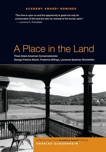 Poster of A Place in the Land