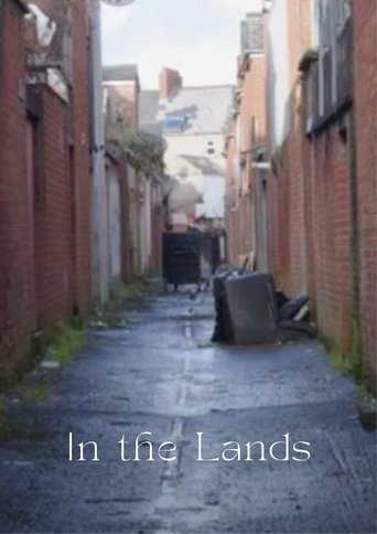 In the Lands Poster of In the Lands