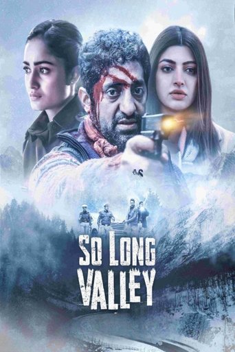 Poster of So Long Valley