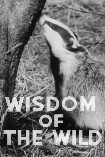 Poster of Wisdom of the Wild