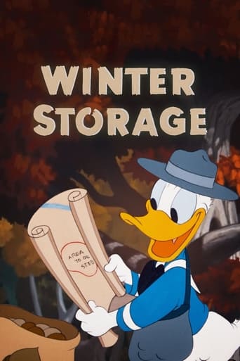 Poster of Winter Storage