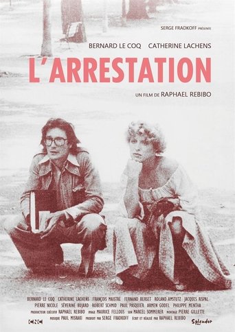 Poster of The arrest