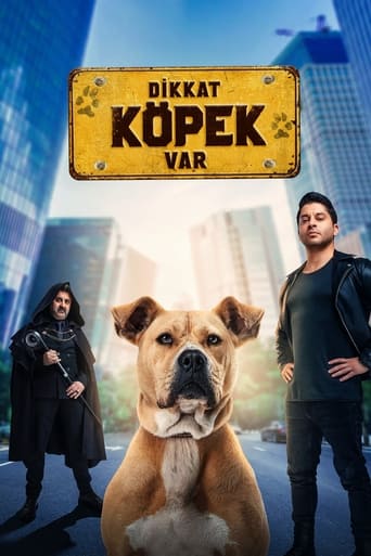 Poster of Dikkat Köpek Var