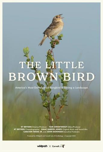 Poster of The Little Brown Bird