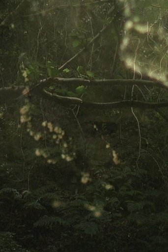 Poster of The Subterraneans