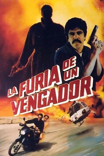 Poster of La furia de un vengador