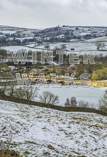 Poster of Winter Walks