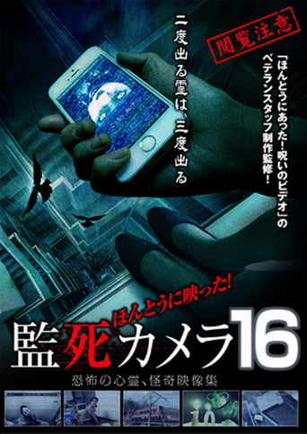 Poster of Paranormal Surveillance Camera 16