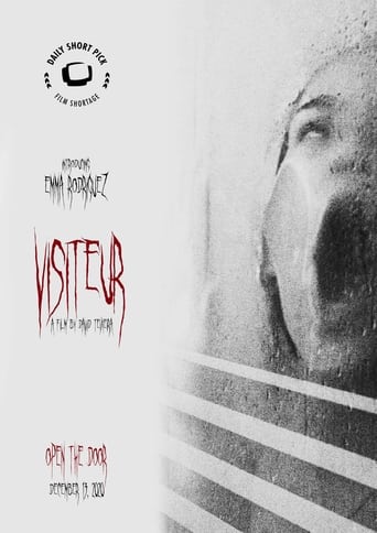 Poster of Visitor