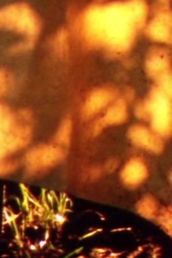 Poster of Zauberzeit