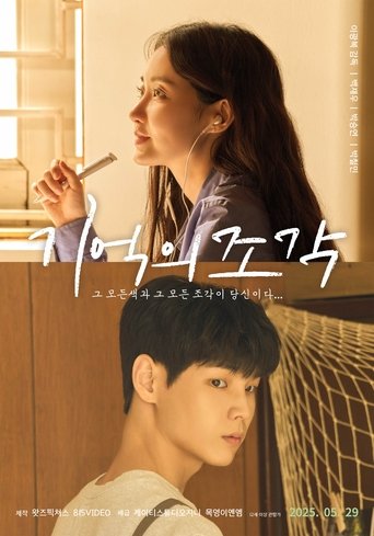 Poster of Pieces of Memories