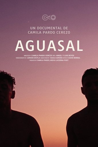 Poster of Aguasal