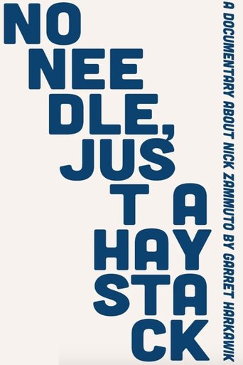 Poster of No Needle, Just A Haystack