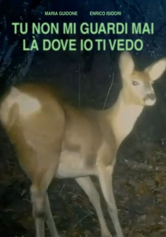 Poster of TU NON GUARDI MAI LÀ DOVE IO TI VEDO