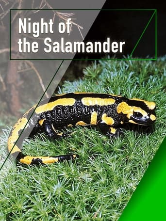 Poster of Night of the Salamander