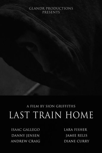 Poster of Last Train Home
