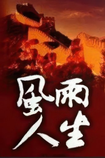 Poster of 风雨人生