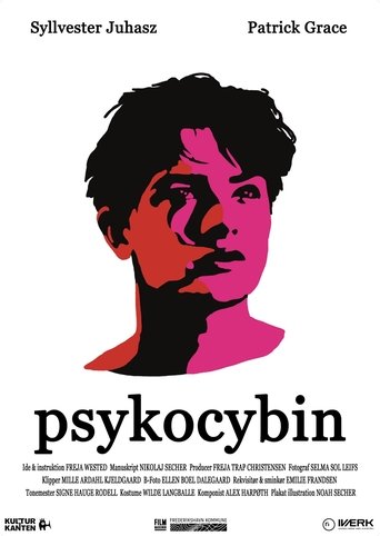 Poster of Psykocybin