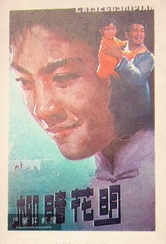 Poster of 柳暗花明