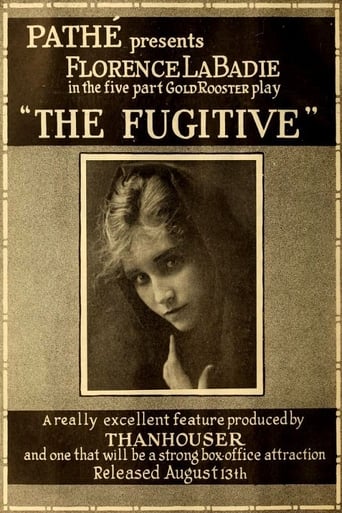 Poster of The Fugitive