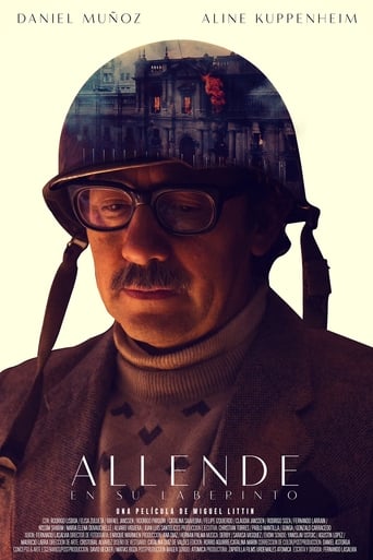 Poster of Allende in His Maze