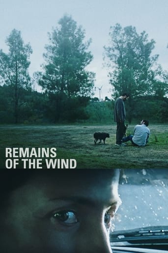 Poster of Remains of the Wind