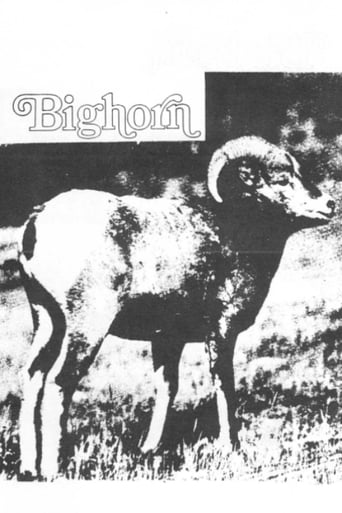 Poster of Big Horn