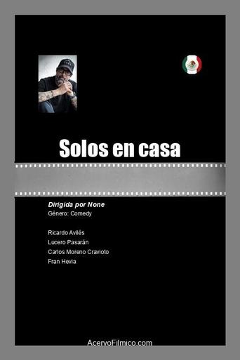 Poster of Solos en casa