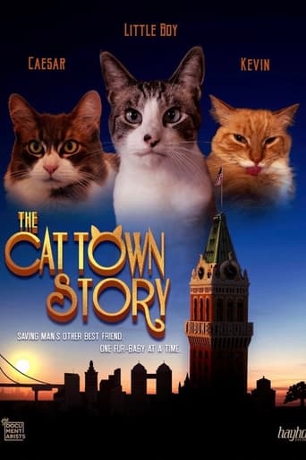 Poster of The Cat Town Story