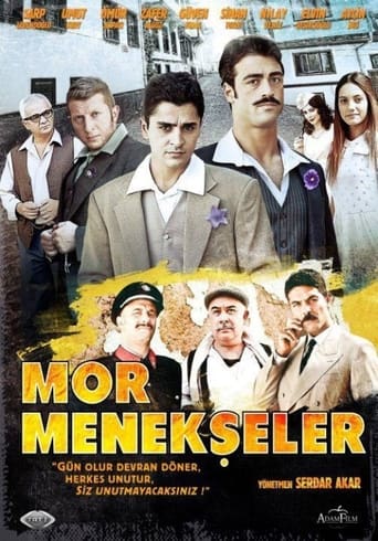 Poster of Mor Menekşeler