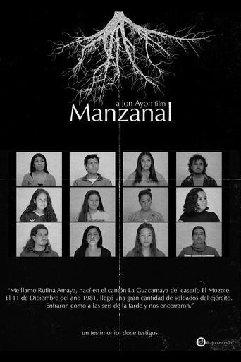 Poster of Manzanal