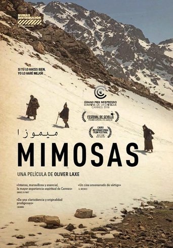Poster of Mimosas
