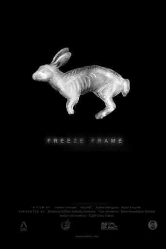 Poster of Freeze Frame