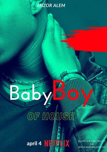 Poster of Baby Boy of House