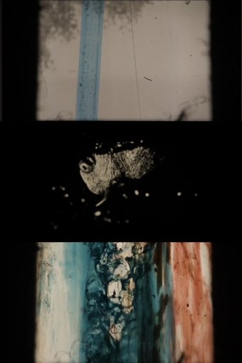 The Rip Poster of The Rip