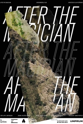 Poster of After the Magician