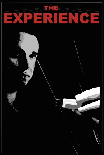 Poster of The Experience