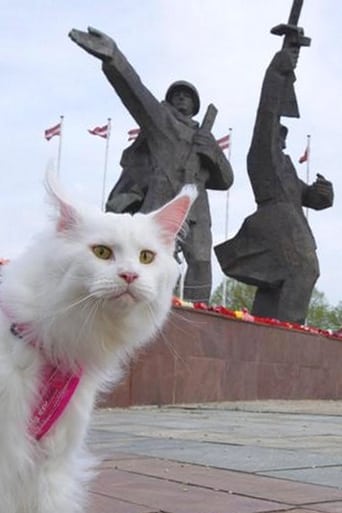 Poster of Cats in Riga