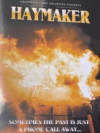 Poster of Haymaker